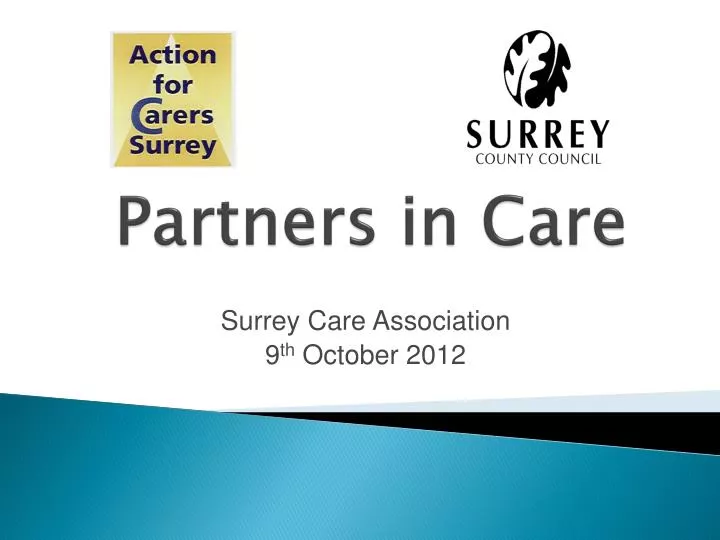 partners in care
