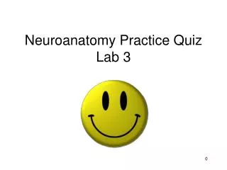 Neuroanatomy Practice Quiz Lab 3