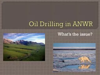 Oil Drilling in ANWR