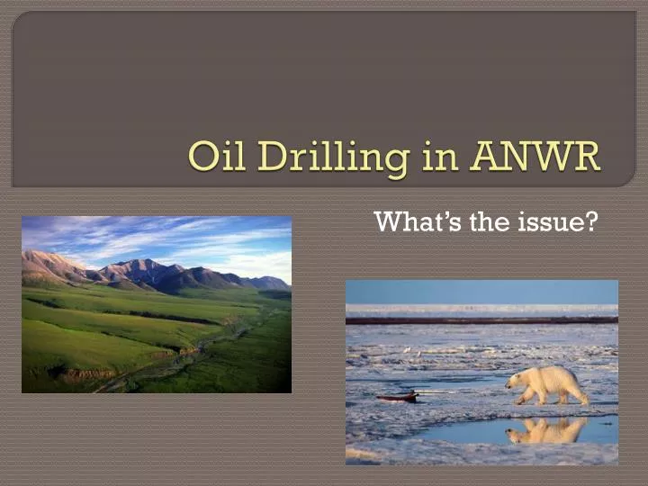 oil drilling in anwr