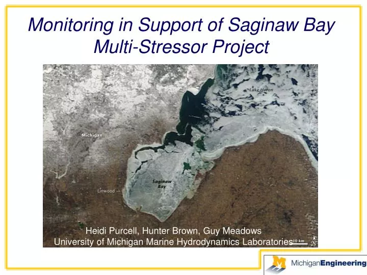 monitoring in support of saginaw bay multi stressor project