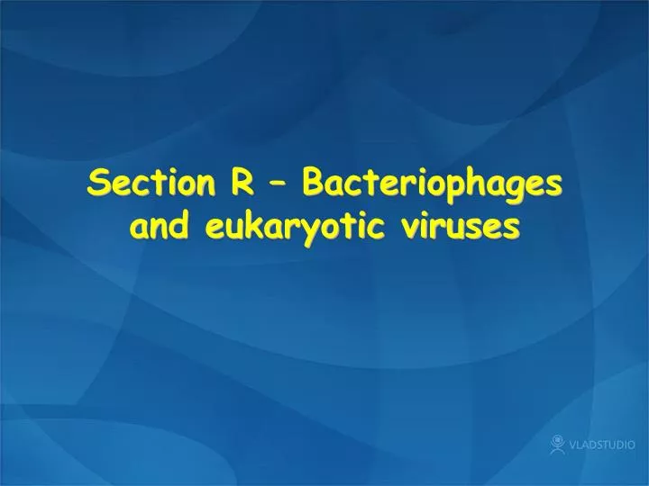 section r bacteriophages and eukaryotic viruses