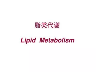 ???? Lipid Metabolism