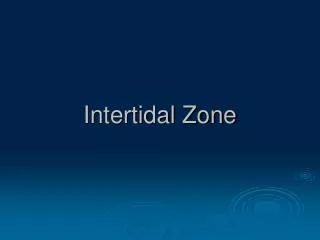 Intertidal Zone