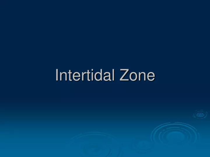intertidal zone