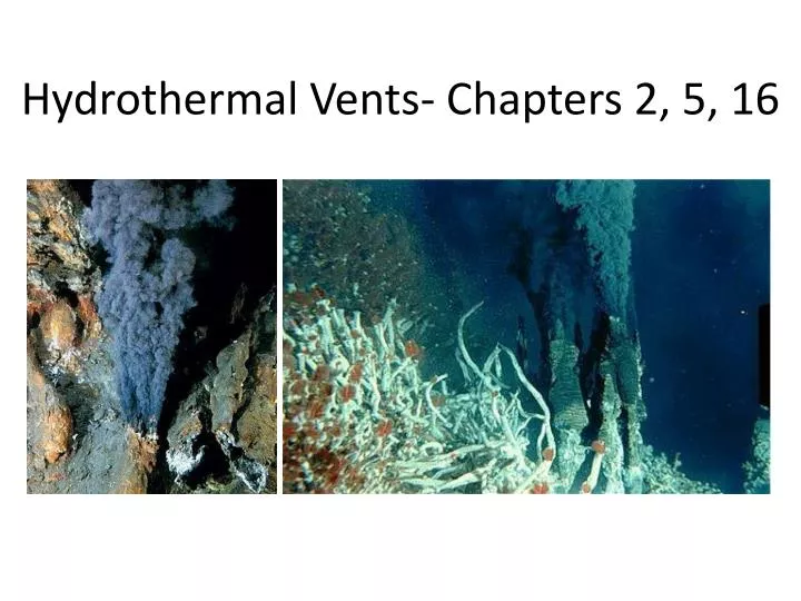 hydrothermal vents chapters 2 5 16