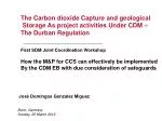 Enhancing Carbon Dioxide Capture and Geological Storage under CDM: Insights from the Durban Workshop - slide 1