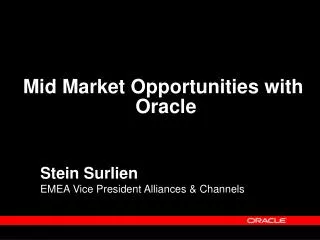 Stein Surlien EMEA Vice President Alliances &amp; Channels