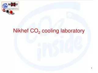 Nikhef CO 2 cooling laboratory