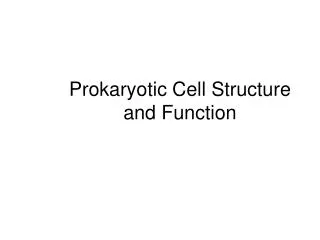 Prokaryotic Cell Structure and Function