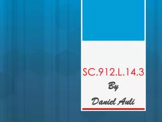 sc 912 l 14 3