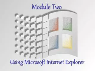 Using Microsoft Internet Explorer