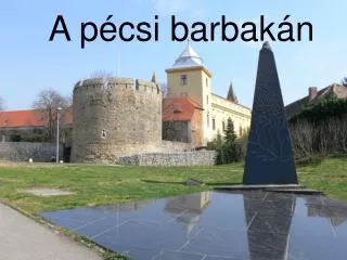 a p csi barbak n