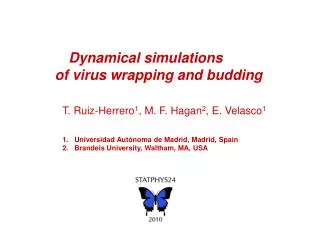 Dynamical simulations of virus wrapping and budding