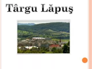 t rgu l pu