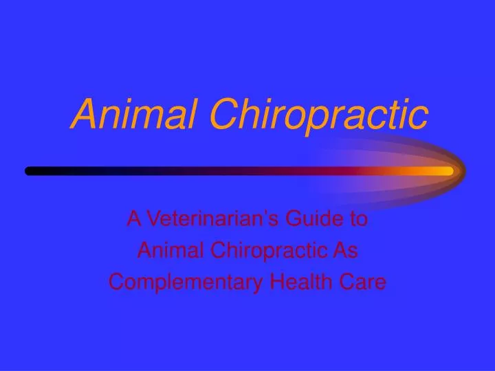 animal chiropractic