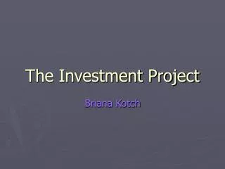 The Investment Project