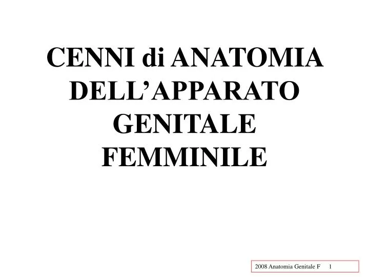 cenni di anatomia dell apparato genitale femminile