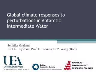 Global climate responses to perturbations in Antarctic Intermediate Water