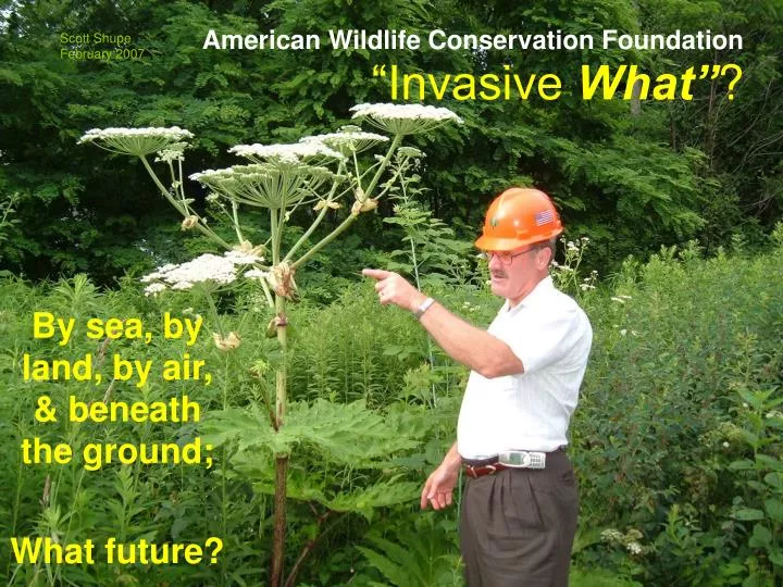 invasive what