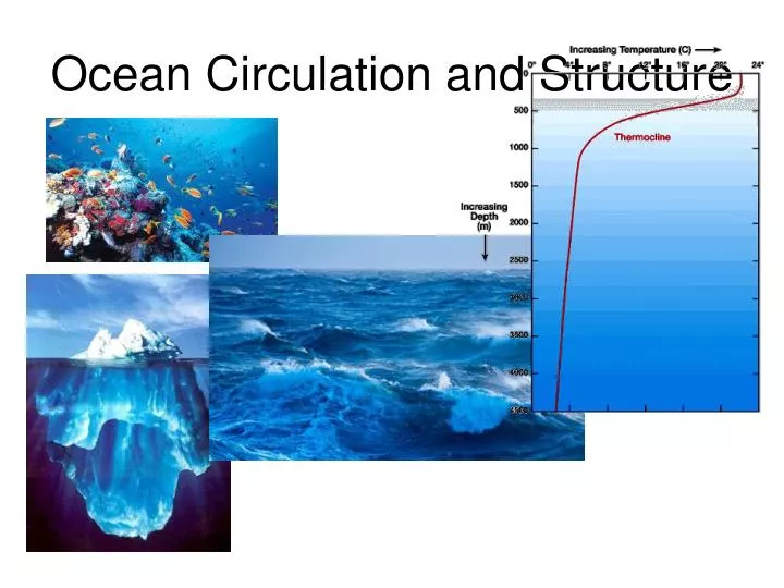 ocean circulation and structure