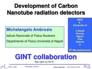 Development of Carbon Nanotube radiation detectors