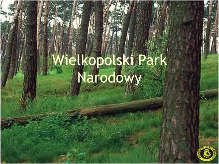 wielkopolski park narodowy