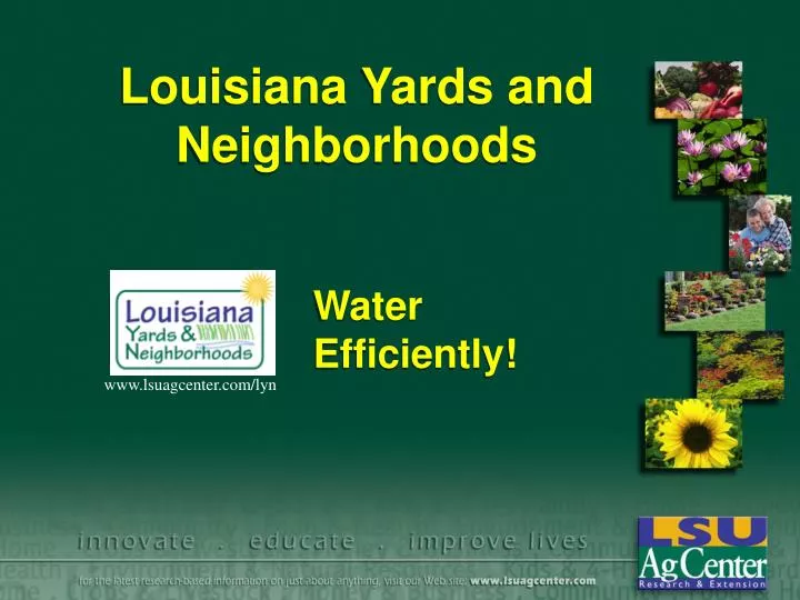 louisiana yards and neighborhoods