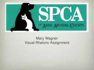Mary Wagner Visual Rhetoric Assignment