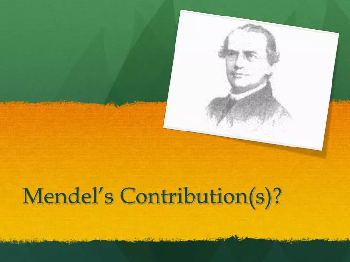 mendel s contribution s