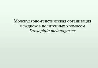 drosophila melanogaster