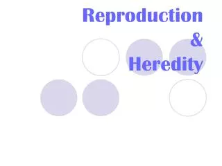 Reproduction &amp; Heredity