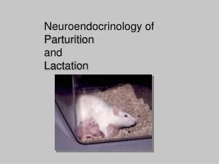 Neuroendocrinology of Parturition and Lactation