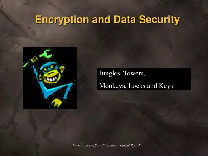 encryption and data security