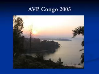 AVP Congo 2005