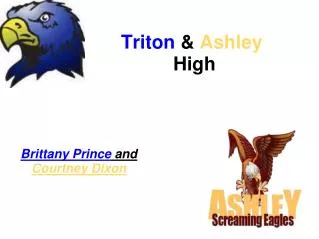 Triton &amp; Ashley High
