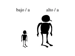 bajo a alto a