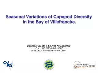 Seasonal Variations of Copepod Diversity in the Bay of Villefranche.