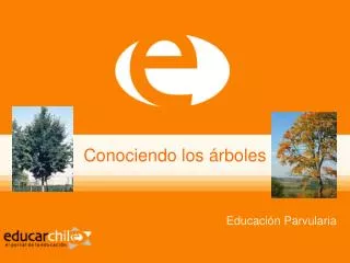 conociendo los rboles