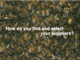 How do you find and select your suppliers?
