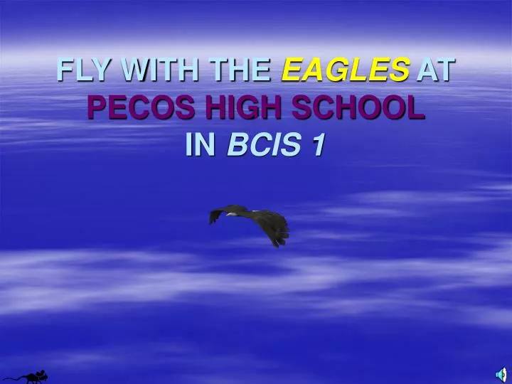 fly with the eagles at pecos high school in bcis 1