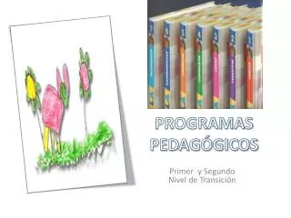 programas pedag gicos
