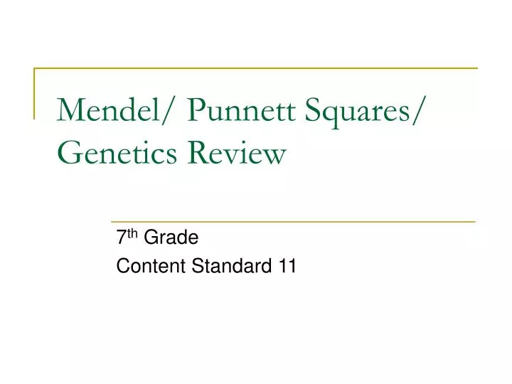 mendel punnett squares genetics review