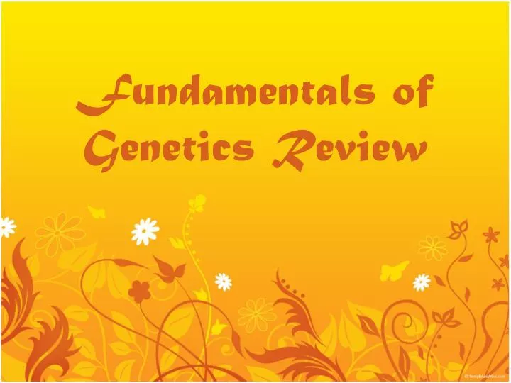 fundamentals of genetics review