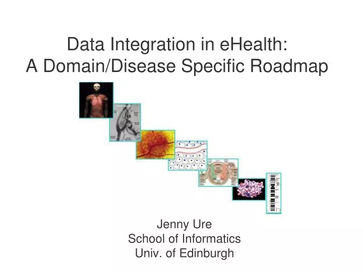 data integration in ehealth a domain disease specific roadmap