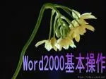 Word2000 基本操作 - slide 1