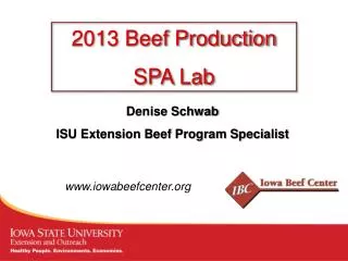 Denise Schwab ISU Extension Beef Program Specialist