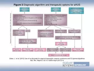 Figure 3 Diagnostic algorithm and therapeutic options for aHUS