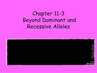 Chapter 11-3 Beyond Dominant and Recessive Alleles