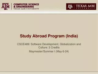 Study Abroad Program (India)